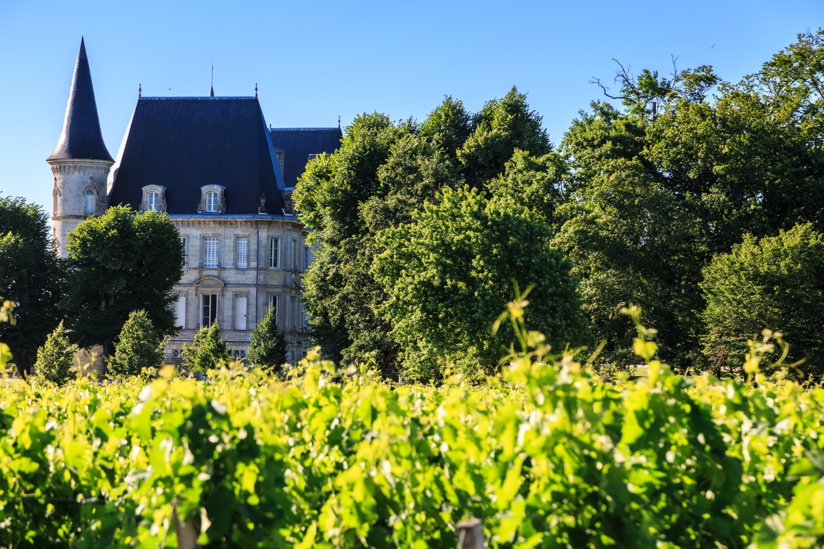 coeurdesvignes_BChoquet (4).jpg