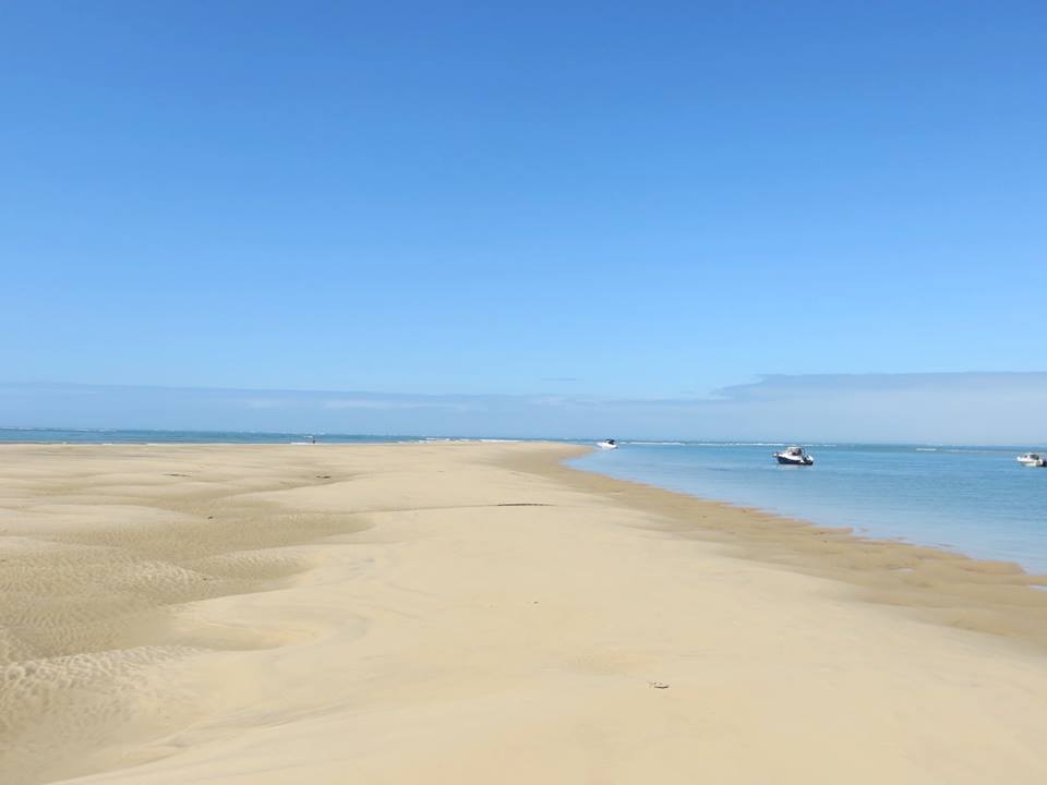 Médoc Estuaire 03.jpg