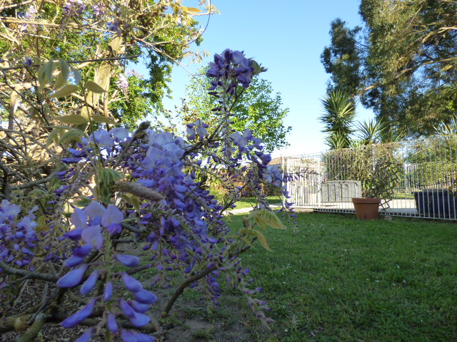 Printemps au Coeur des Vignes Pauillac