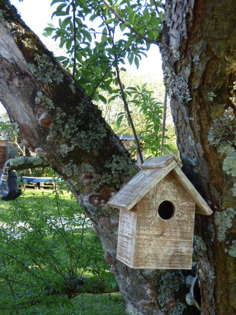 La maison des oiseaux au Coeur des Vignes Pauillac