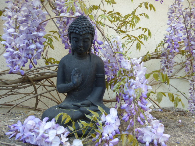 Buddha et Glycine au Coeur des Vignes Pauillac