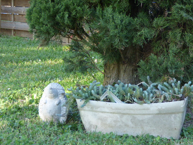 Hérisson au Coeur des Vignes Pauillac